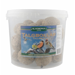 Talgbollar 30-pack