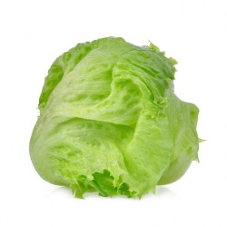 Isbergssallad  5kg