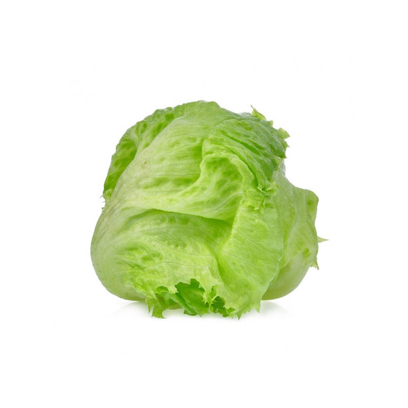 Isbergssallad 5kg Isbergssallad 5kg