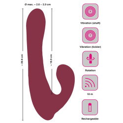 RC Rotating Rabbit Vibrator-1