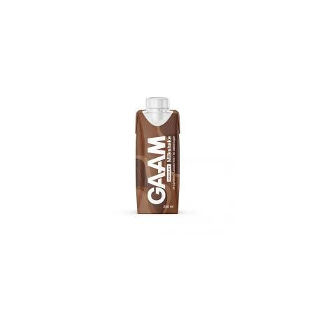 GAAM Milkshake 250 ml