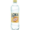 Loka Likes Sweet Citrus 50cl (Ink Pant)