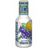 Arizona  PET 500 ml-2