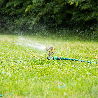 Impulssprinkler cirkulär sprinkler-0