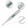 Treat & Ease Digital Thermometer