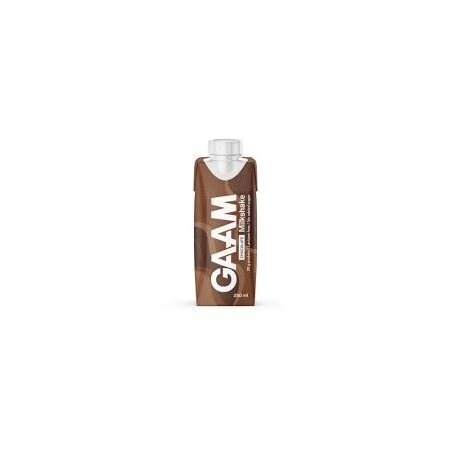 GAAM Milkshake 250 ml