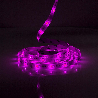 SmartLife LED-Remsa Wi-Fi Flerfärgad  SMD 5.00 m-4