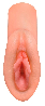 Perfect Pussy: Dream Stroker-1