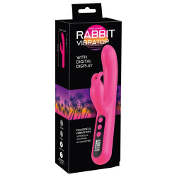 Pink Sunset Rabbit Vibrator-12