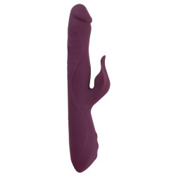 3 Function Vibrator-2