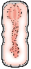 Style Masturbator Vagina-8