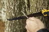 Folding Limb Saw-0