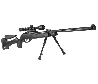 Gamo HPA  Maxxim IGT